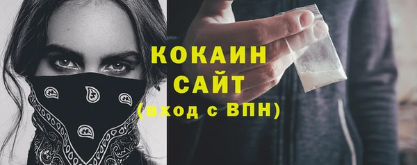 сатива Арсеньев
