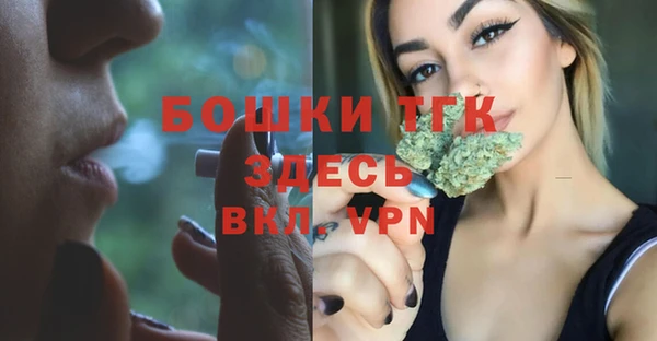 сатива Арсеньев