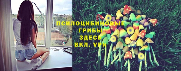 сатива Арсеньев