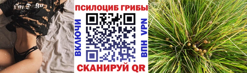 купить наркотики сайты  Слюдянка  Галлюциногенные грибы MAGIC MUSHROOMS 